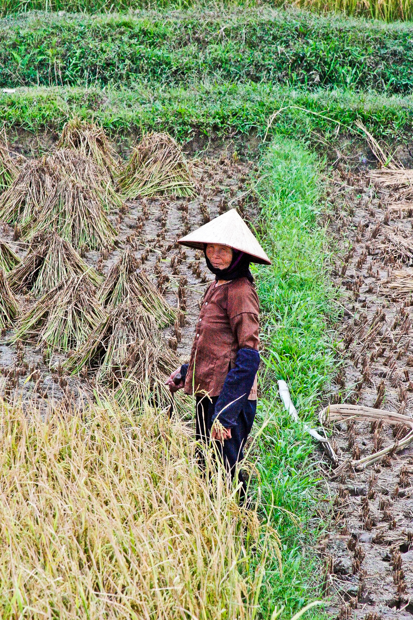 Stew and Tinas Honeymoon D1 Sept Oct 2006  MG 0474